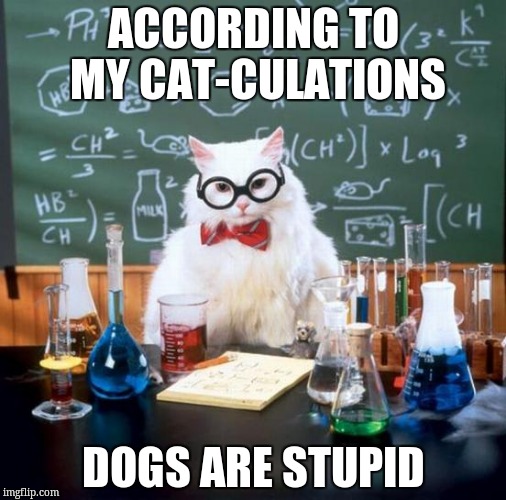 Chemistry Cat Meme | ACCORDING TO MY CAT-CULATIONS; DOGS ARE STUPID | image tagged in memes,chemistry cat | made w/ Imgflip meme maker