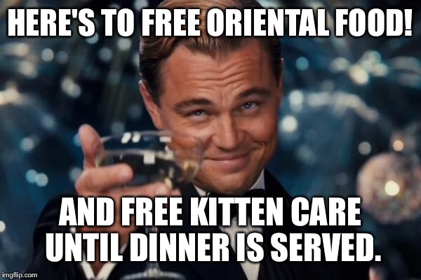 Leonardo Dicaprio Cheers Meme | HERE'S TO FREE ORIENTAL FOOD! AND FREE KITTEN CARE UNTIL DINNER IS SERVED. | image tagged in memes,leonardo dicaprio cheers | made w/ Imgflip meme maker