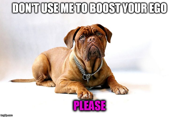 Cute Mastiff | DON'T USE ME TO BOOST YOUR EGO; PLEASE | image tagged in cute mastiff | made w/ Imgflip meme maker