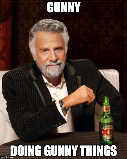 The Most Interesting Man In The World | GUNNY; DOING GUNNY THINGS | image tagged in memes,the most interesting man in the world | made w/ Imgflip meme maker