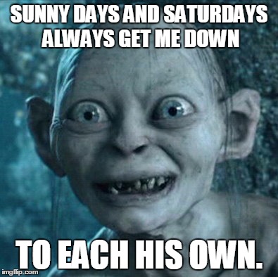 Gollum | SUNNY DAYS AND SATURDAYS ALWAYS GET ME DOWN; TO EACH HIS OWN. | image tagged in memes,gollum | made w/ Imgflip meme maker