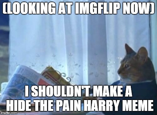 I Should Buy A Boat Cat | (LOOKING AT IMGFLIP NOW); I SHOULDN'T MAKE A HIDE THE PAIN HARRY MEME | image tagged in memes,i should buy a boat cat | made w/ Imgflip meme maker