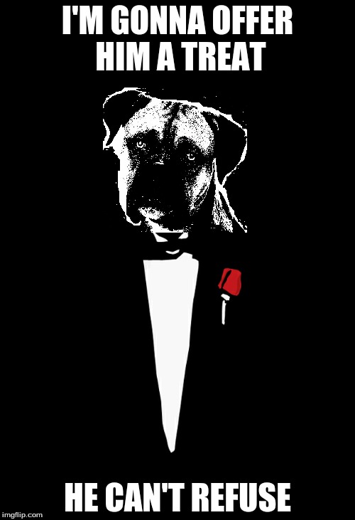 The Dogfather: A box(er) office hit. | I'M GONNA OFFER HIM A TREAT; HE CAN'T REFUSE | image tagged in the godfather,movies,animals,dog | made w/ Imgflip meme maker
