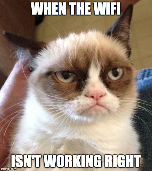 Grumpy Cat Reverse | WHEN THE WIFI; ISN'T WORKING RIGHT | image tagged in memes,grumpy cat reverse,grumpy cat | made w/ Imgflip meme maker