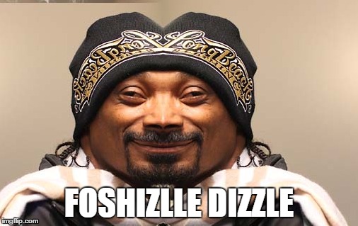 Foshizzle Dizzle | FOSHIZLLE DIZZLE | image tagged in meme,snoop dog | made w/ Imgflip meme maker
