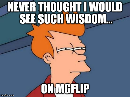 Futurama Fry Meme | NEVER THOUGHT I WOULD SEE SUCH WISDOM... ON MGFLIP | image tagged in memes,futurama fry | made w/ Imgflip meme maker