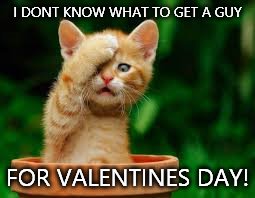 He got me 2 bags full of gifts. I don't know what to get him though...  | I DONT KNOW WHAT TO GET A GUY; FOR VALENTINES DAY! | image tagged in face palm cat | made w/ Imgflip meme maker