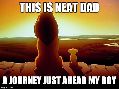 Lion King Meme | THIS IS NEAT DAD; A JOURNEY JUST AHEAD MY BOY | image tagged in memes,lion king | made w/ Imgflip meme maker
