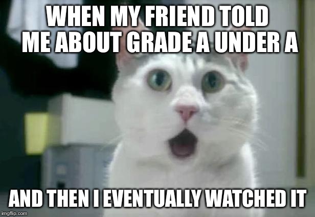 OMG Cat | WHEN MY FRIEND TOLD ME ABOUT GRADE A UNDER A; AND THEN I EVENTUALLY WATCHED IT | image tagged in memes,omg cat | made w/ Imgflip meme maker