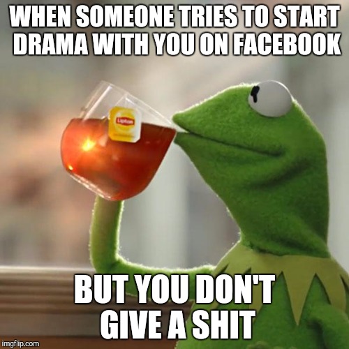 But That's None Of My Business | WHEN SOMEONE TRIES TO START DRAMA WITH YOU ON FACEBOOK; BUT YOU DON'T GIVE A SHIT | image tagged in memes,but thats none of my business,kermit the frog | made w/ Imgflip meme maker
