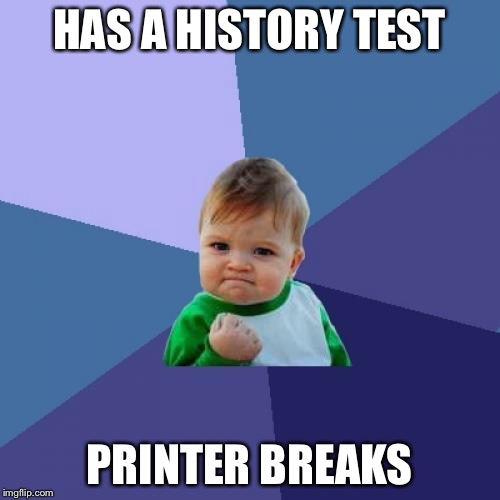 Success Kid | HAS A HISTORY TEST; PRINTER BREAKS | image tagged in memes,success kid | made w/ Imgflip meme maker
