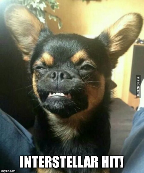 alien dog | INTERSTELLAR HIT! | image tagged in alien dog | made w/ Imgflip meme maker