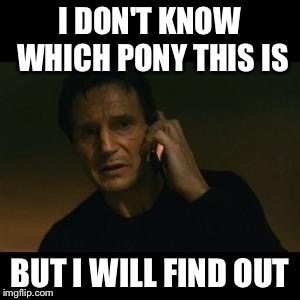liam | I DON'T KNOW WHICH PONY THIS IS BUT I WILL FIND OUT | image tagged in liam | made w/ Imgflip meme maker