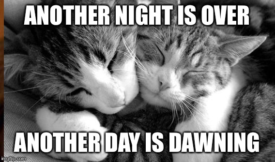 ANOTHER NIGHT IS OVER ANOTHER DAY IS DAWNING | made w/ Imgflip meme maker