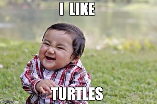 Evil Toddler | I  LIKE; TURTLES | image tagged in memes,evil toddler | made w/ Imgflip meme maker