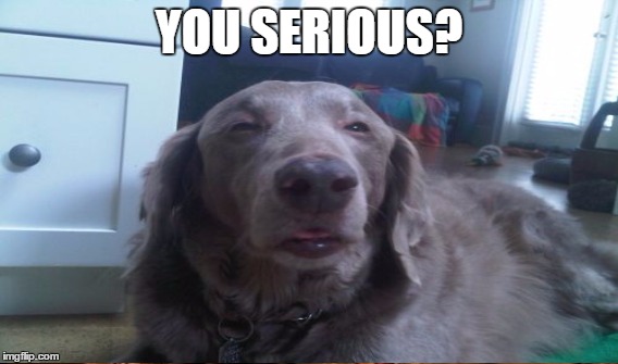 YOU SERIOUS? | made w/ Imgflip meme maker