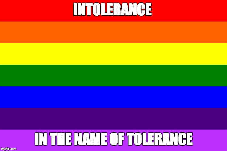 Criticism of the left may result in intolerant insults, BEWARE! | INTOLERANCE; IN THE NAME OF TOLERANCE | image tagged in tolerance,intolerance,bad luck brian,haters gonna hate,first world problems,that would be great | made w/ Imgflip meme maker