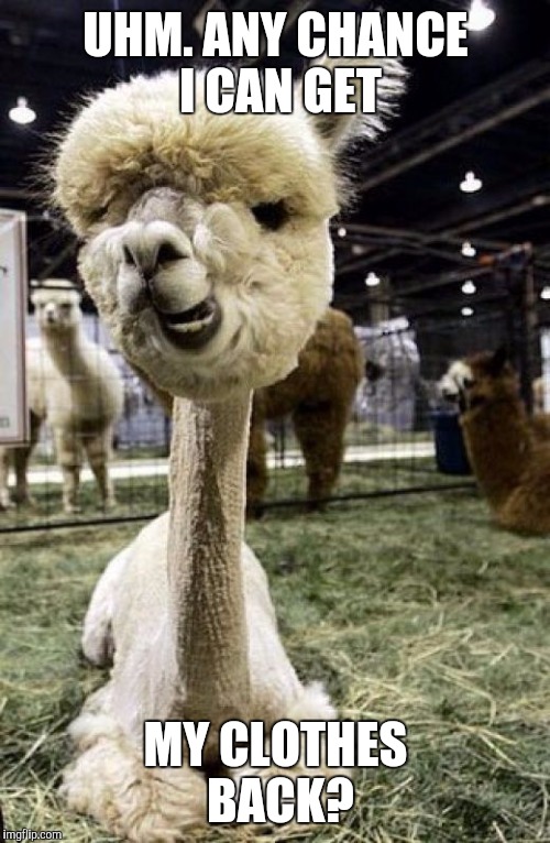 UHM. ANY CHANCE I CAN GET MY CLOTHES BACK? | made w/ Imgflip meme maker