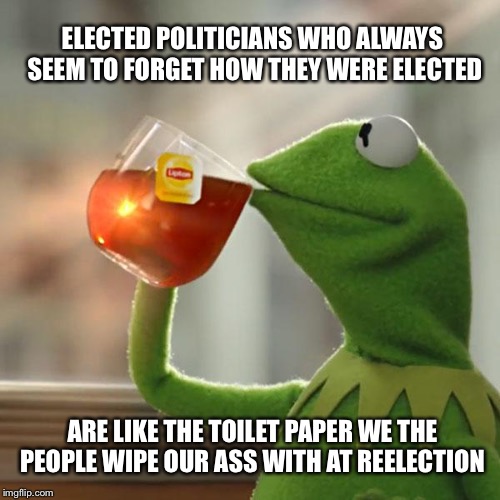 But That's None Of My Business | ELECTED POLITICIANS WHO ALWAYS SEEM TO FORGET HOW THEY WERE ELECTED; ARE LIKE THE TOILET PAPER WE THE PEOPLE WIPE OUR ASS WITH AT REELECTION | image tagged in memes,but thats none of my business,kermit the frog | made w/ Imgflip meme maker