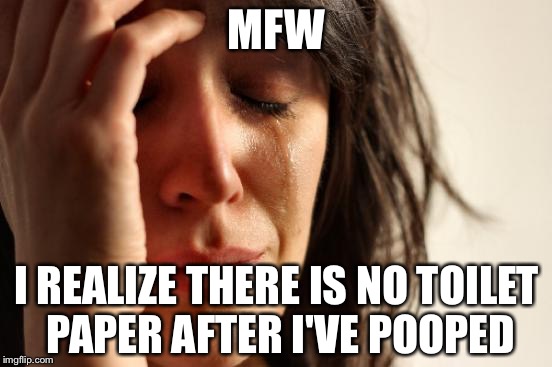 First World Problems Meme | MFW; I REALIZE THERE IS NO TOILET PAPER AFTER I'VE POOPED | image tagged in memes,first world problems | made w/ Imgflip meme maker