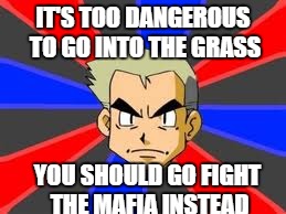 Professor Oak Meme | IT'S TOO DANGEROUS TO GO INTO THE GRASS; YOU SHOULD GO FIGHT THE MAFIA INSTEAD | image tagged in memes,professor oak,pokemon | made w/ Imgflip meme maker
