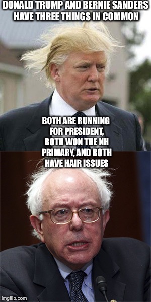 Hair is taking over politics, people | DONALD TRUMP AND BERNIE SANDERS HAVE THREE THINGS IN COMMON; BOTH ARE RUNNING FOR PRESIDENT, BOTH WON THE NH PRIMARY, AND BOTH HAVE HAIR ISSUES | image tagged in donald trump,memes,funny,hair | made w/ Imgflip meme maker