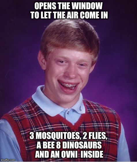 Bad Luck Brian Meme | OPENS THE WINDOW TO LET THE AIR COME IN; 3 MOSQUITOES, 2 FLIES, A BEE 8 DINOSAURS AND AN OVNI  INSIDE | image tagged in memes,bad luck brian | made w/ Imgflip meme maker