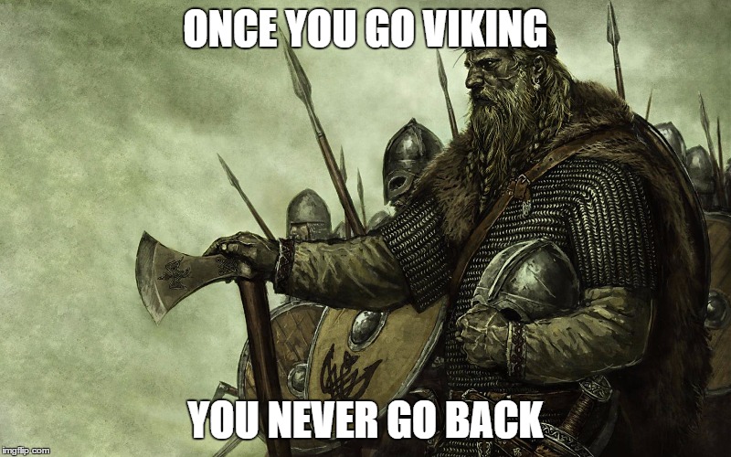 Viking | ONCE YOU GO VIKING; YOU NEVER GO BACK | image tagged in viking | made w/ Imgflip meme maker