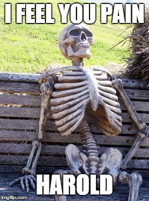 Waiting Skeleton Meme | I FEEL YOU PAIN HAROLD | image tagged in memes,waiting skeleton | made w/ Imgflip meme maker