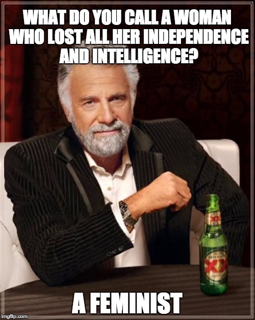 The Most Interesting Man In The World Meme | WHAT DO YOU CALL A WOMAN WHO LOST ALL HER INDEPENDENCE AND INTELLIGENCE? A FEMINIST | image tagged in memes,the most interesting man in the world | made w/ Imgflip meme maker