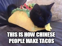 Chinese Tacos! | THIS IS HOW CHINESE PEOPLE MAKE TACOS | image tagged in chinese,tacos,taco cat,memes | made w/ Imgflip meme maker