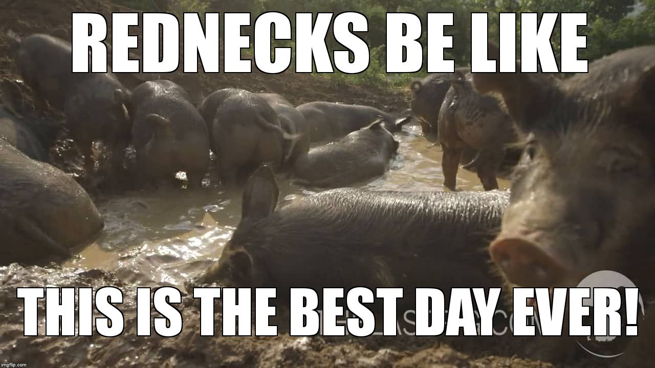 REDNECKS BE LIKE; THIS IS THE BEST DAY EVER! | image tagged in soooweee | made w/ Imgflip meme maker