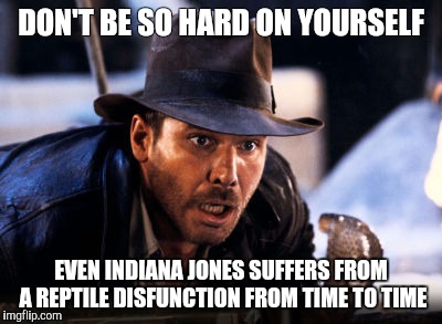Indiana Jones Snakes | DON'T BE SO HARD ON YOURSELF; EVEN INDIANA JONES SUFFERS FROM A REPTILE DISFUNCTION FROM TIME TO TIME | image tagged in indiana jones snakes | made w/ Imgflip meme maker