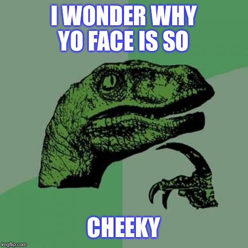 Philosoraptor Meme | I WONDER WHY YO FACE IS SO; CHEEKY | image tagged in memes,philosoraptor | made w/ Imgflip meme maker