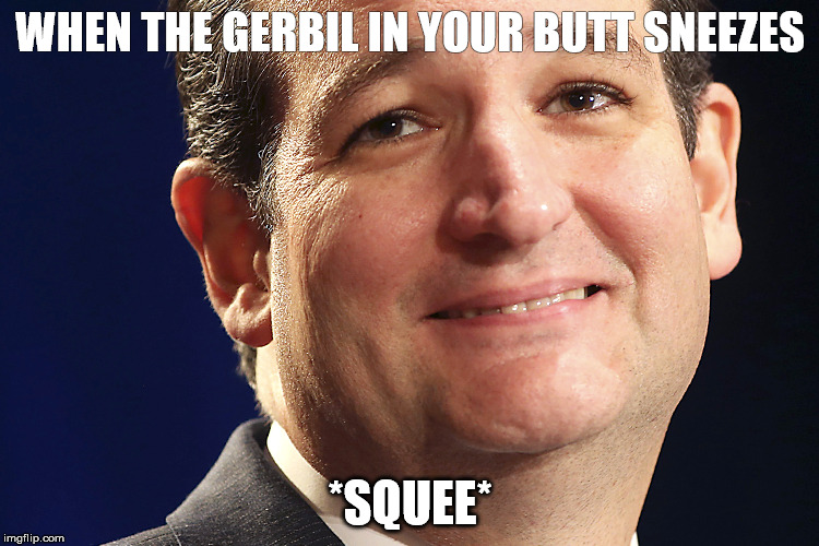 gerbil cruz | WHEN THE GERBIL IN YOUR BUTT SNEEZES; *SQUEE* | image tagged in gerbil cruz | made w/ Imgflip meme maker