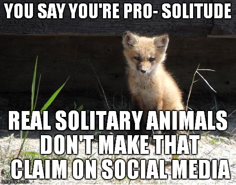 camping | YOU SAY YOU'RE PRO- SOLITUDE; REAL SOLITARY ANIMALS DON'T MAKE THAT CLAIM ON SOCIAL MEDIA | image tagged in camping | made w/ Imgflip meme maker