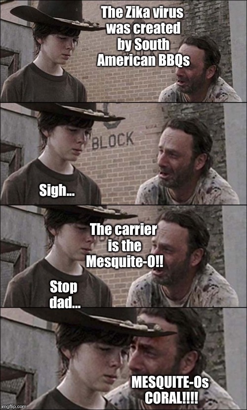 Rick is at it again | The Zika virus was created by South American BBQs; Sigh... The carrier is the Mesquite-O!! Stop dad... MESQUITE-Os CORAL!!!! | image tagged in memes,twd,rick and carl | made w/ Imgflip meme maker