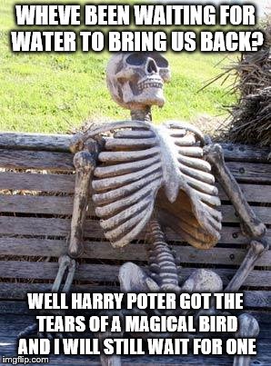 Waiting Skeleton Meme | WHEVE BEEN WAITING FOR WATER TO BRING US BACK? WELL HARRY POTER GOT THE TEARS OF A MAGICAL BIRD AND I WILL STILL WAIT FOR ONE | image tagged in memes,waiting skeleton | made w/ Imgflip meme maker