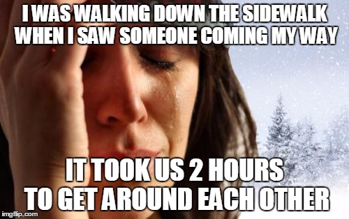 Canadians are so nice :) |  I WAS WALKING DOWN THE SIDEWALK WHEN I SAW SOMEONE COMING MY WAY; IT TOOK US 2 HOURS TO GET AROUND EACH OTHER | image tagged in memes,1st world canadian problems | made w/ Imgflip meme maker