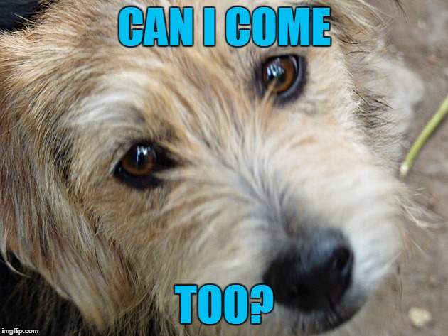 CAN I COME TOO? | made w/ Imgflip meme maker