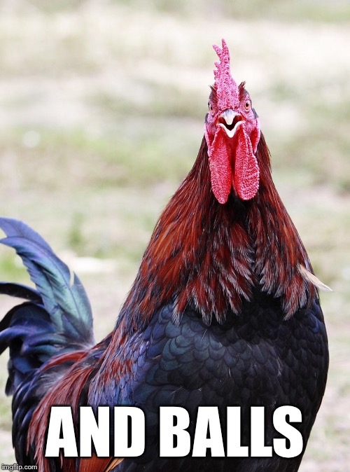 Cock | AND BALLS | image tagged in cock | made w/ Imgflip meme maker