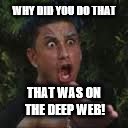 WHY THE  | WHY DID YOU DO THAT THAT WAS ON THE DEEP WEB! | image tagged in why the | made w/ Imgflip meme maker