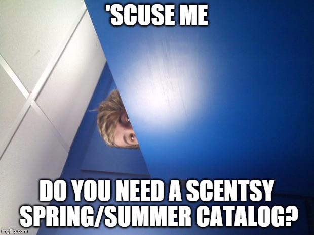 stalker mode on | 'SCUSE ME; DO YOU NEED A SCENTSY SPRING/SUMMER CATALOG? | image tagged in stalker mode on,scentsy,spring/summer,catalog | made w/ Imgflip meme maker