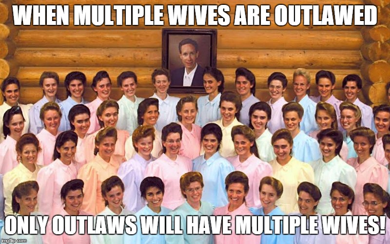 WHEN MULTIPLE WIVES ARE OUTLAWED; ONLY OUTLAWS WILL HAVE MULTIPLE WIVES! | image tagged in jeffs | made w/ Imgflip meme maker