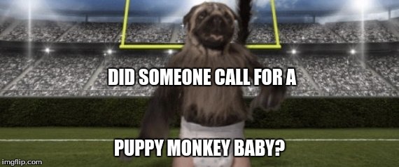 Puppy Monkey Baby | DID SOMEONE CALL FOR A; PUPPY MONKEY BABY? | image tagged in memes,funny,puppy monkey baby | made w/ Imgflip meme maker