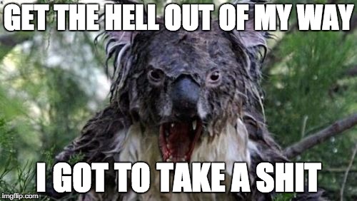 Angry Koala Meme | GET THE HELL OUT OF MY WAY; I GOT TO TAKE A SHIT | image tagged in memes,angry koala | made w/ Imgflip meme maker