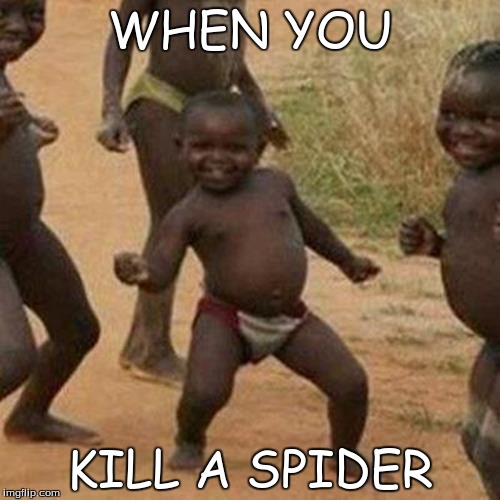 Third World Success Kid | WHEN YOU; KILL A SPIDER | image tagged in memes,third world success kid | made w/ Imgflip meme maker
