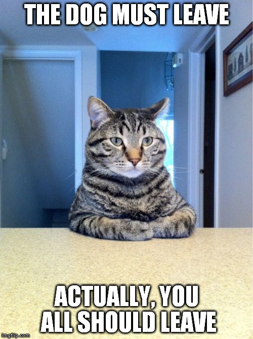 Take A Seat Cat Meme | THE DOG MUST LEAVE; ACTUALLY, YOU ALL SHOULD LEAVE | image tagged in memes,take a seat cat | made w/ Imgflip meme maker
