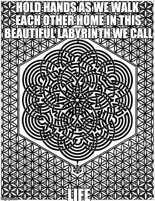 HOLD HANDS AS WE WALK EACH OTHER HOME IN THIS BEAUTIFUL LABYRINTH WE CALL; LIFE | image tagged in labyrinth | made w/ Imgflip meme maker