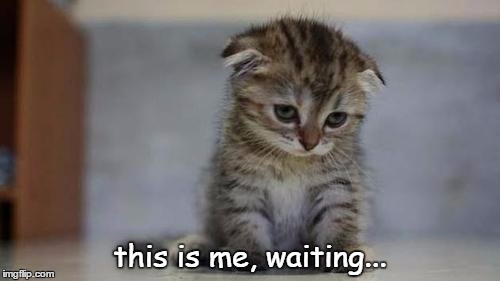 Sad kitten | this is me, waiting... | image tagged in sad kitten | made w/ Imgflip meme maker